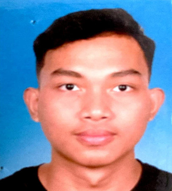 MUHAMMAD HAFIZ BIN ROSHAMIDI
